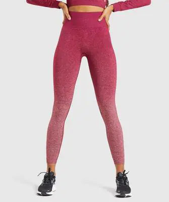 Image of Seamless-Yoga-Pants-For-Women-Sports-Activewear | Shop Sbrtn Homes – featured product