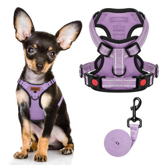 Midog No - Pull Dog Harness | Shop Sbrtn Homes – Purple Pet by SbrTnHomes
